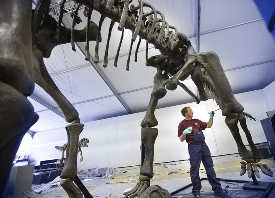 Dinosaurier: Knochenarbeit