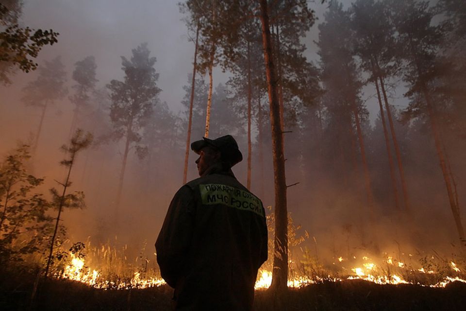 Der Klimawandel ist real: Etwa 26.000 Waldbrände verwüsteten in Russland in diesem Sommer mehr als 7600 Quadratkilometer Land