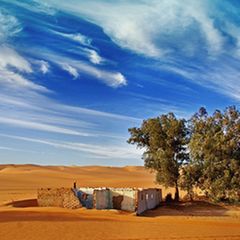 Schiebepuzzle: Sahara