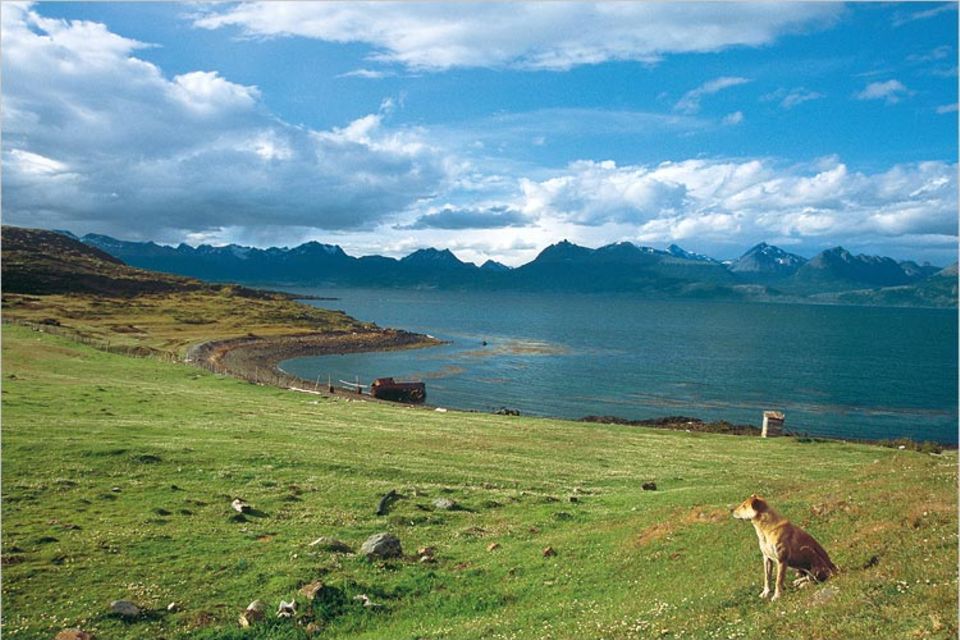 Argentinien: Ein paar Berge noch und dann kein Festland mehr bis zur Antarktis: Von der zu Chile gehörenden Insel Navarino sieht man über den Beaglekanal auf die Ausläufer der Anden an Argentiniens Südküste