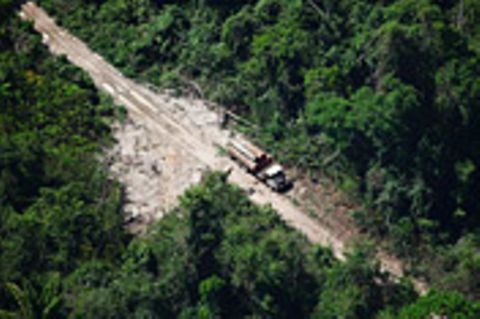 Naturschutz: Brasilien: Die Entdeckung von Grün und REDD