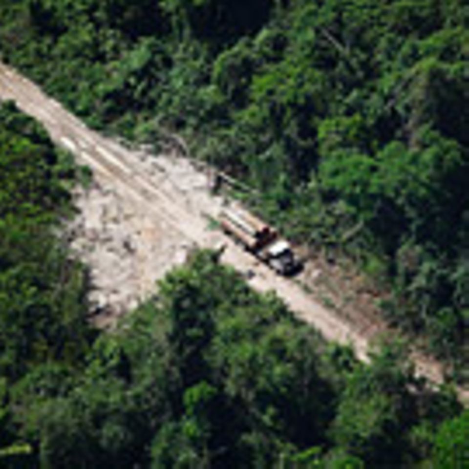 Naturschutz: Brasilien: Die Entdeckung von Grün und REDD