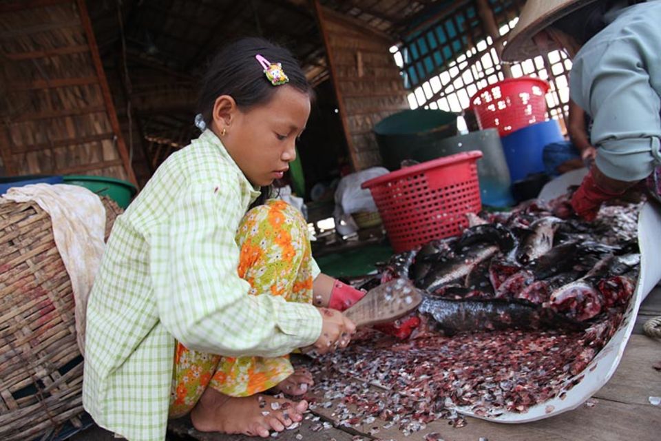 Kambodscha: Eine riesige Ladung Fisch ist Chan Thys Onkel heute ins Netz gegangen: Beim Putzen und Schuppen hilft die ganze Familie.
