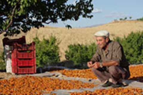 Anatolien, Konflikt im Aprikosenland
