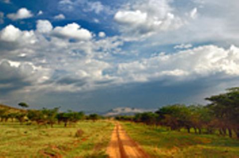 Naturschutz: Serengeti - bedrohte Ikone