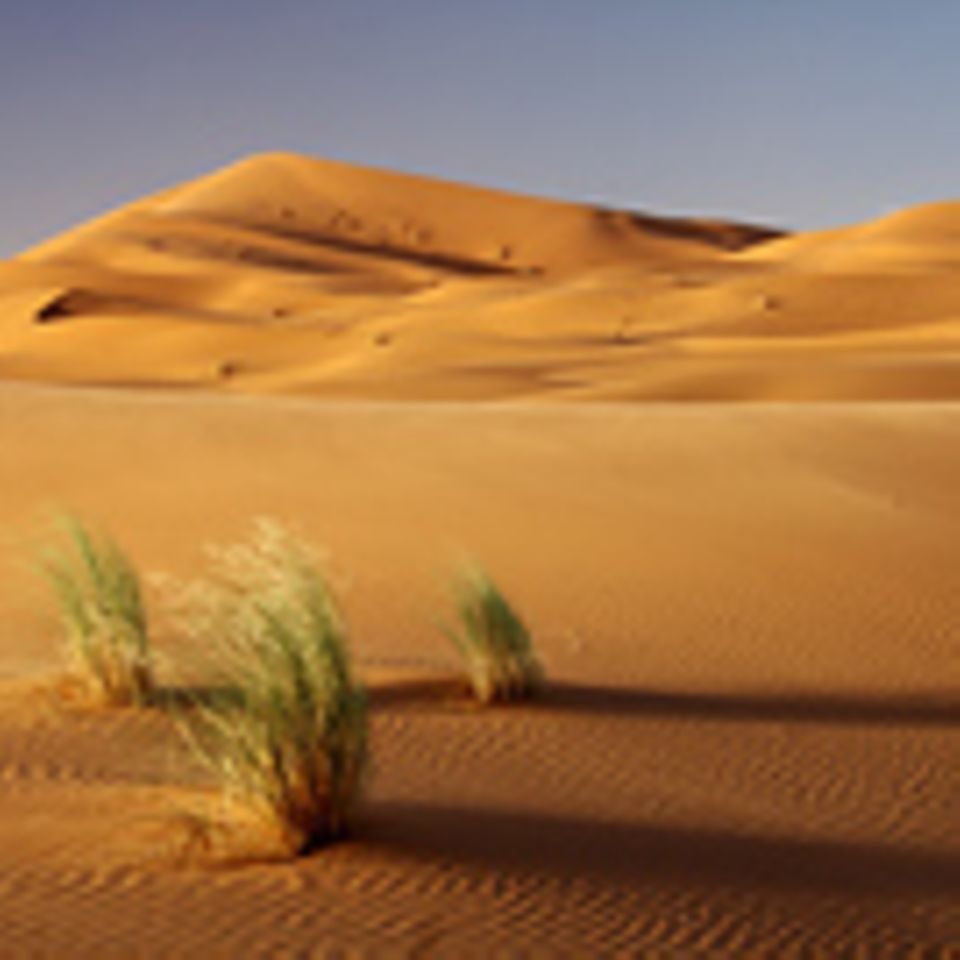 Schiebepuzzle: Sahara