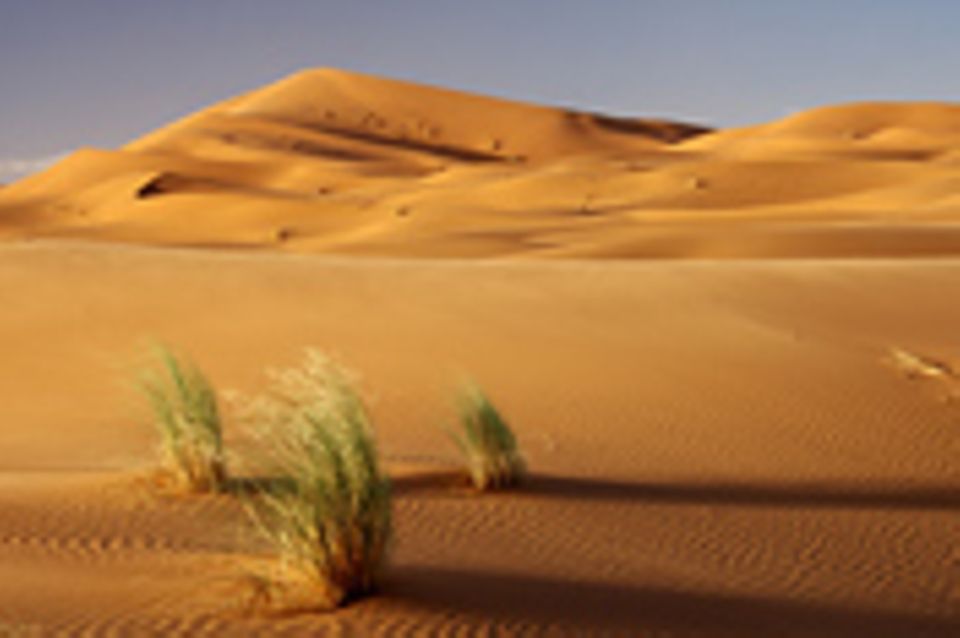 Schiebepuzzle: Sahara