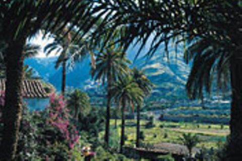 Gran Canaria: Entdeckung eines Kontinents