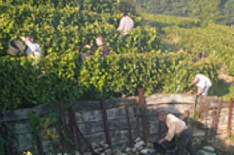 Champagner für alle!