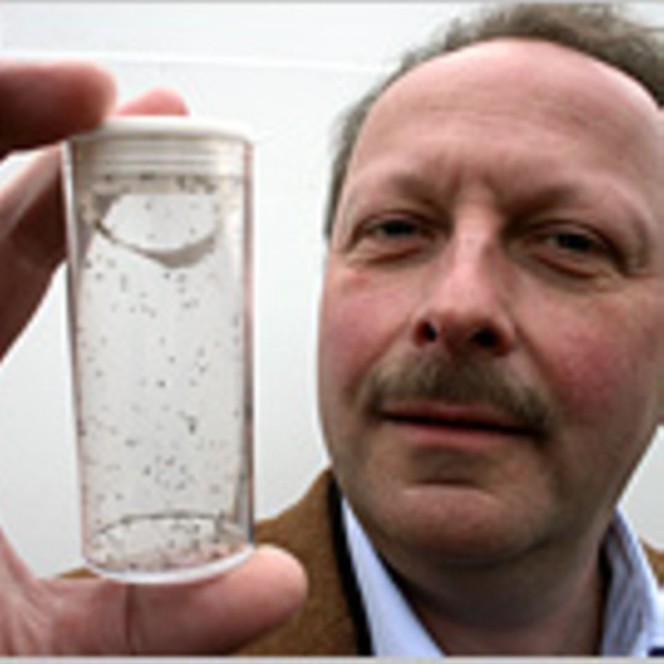 Naturtalente: Der Herr der Fliegen Naturtalente: Der Herr der Fliegen