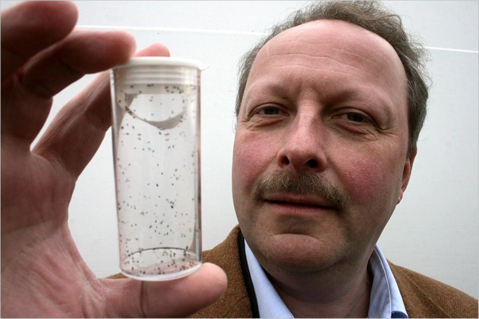 Naturtalente: Dr. Helmut Haardt hält ein Glasröhrchen mit 250 Schlupfwespen in die Kamera. Sie werden unter anderem gegen Blattläuse eingesetzt Naturtalente: Dr. Helmut Haardt hält ein Glasröhrchen mit 250 Schlupfwespen in die Kamera. Sie werden unter anderem gegen Blattläuse eingesetzt
