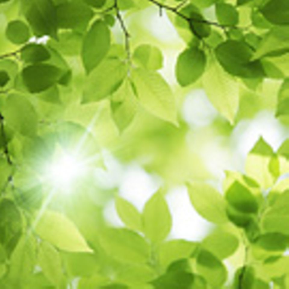 Gute Nachrichten, bitte!