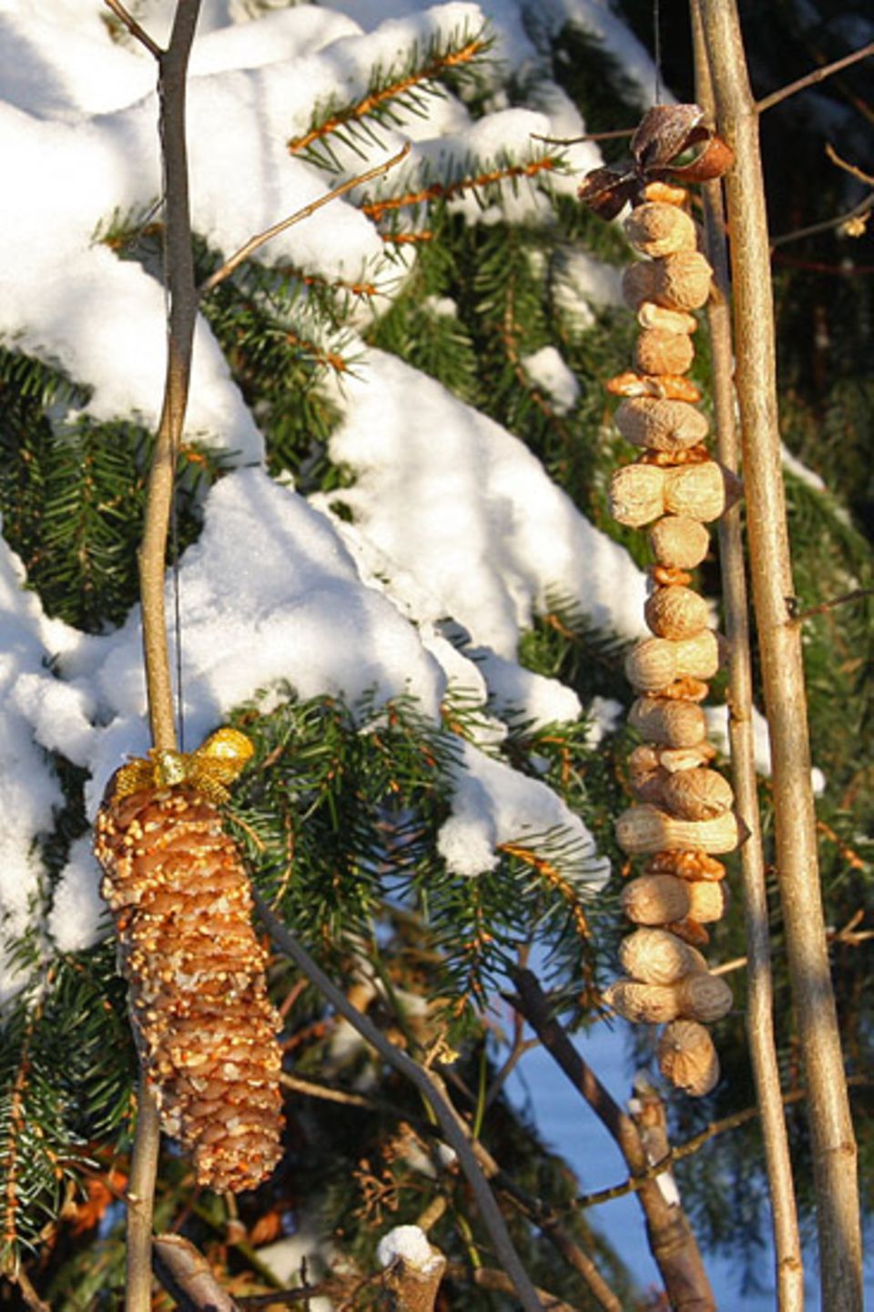 Winter mit Kindern: Frisch bestückte Vogelrestaurants: Futterzapfen und Nusskette. Winter mit Kindern: Frisch bestückte Vogelrestaurants: Futterzapfen und Nusskette.