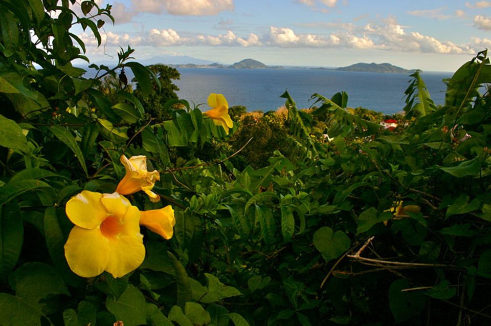Guadeloupe wurde im Jahre 1493 von Kolumbus entdeckt. Bei den Einheimischen hieß die Insel "Karukéra" - "Insel der schönen Wasser"