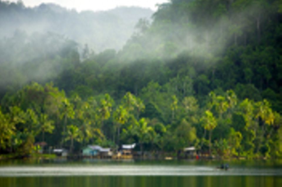 Entwicklung und Waldschutz auf Waigeo, West-Papua