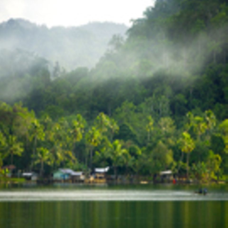 Entwicklung und Waldschutz auf Waigeo, West-Papua