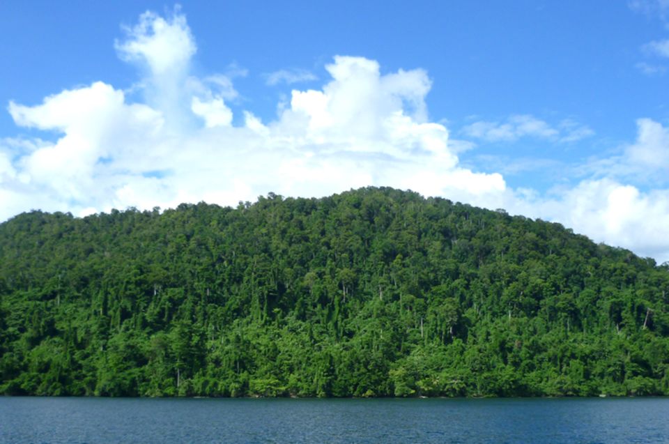 Noch bedeckt dichter Regenwald den größten Teil der Insel Waigeo Noch bedeckt dichter Regenwald den größten Teil der Insel Waigeo