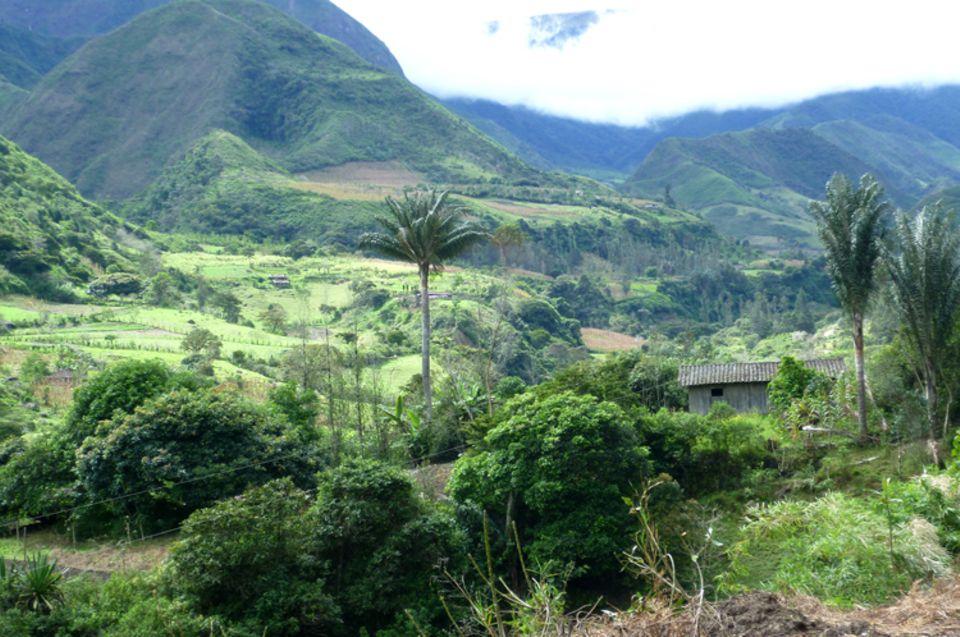 Ecuador: Im Tal von Irubí wird vorwiegend Milchwirtschaft betrieben, Wald gibt es noch an den Berghängen