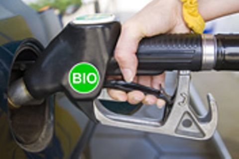 Biokraftstoffe: Zucker im Tank