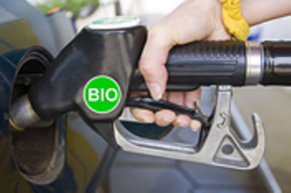 Biokraftstoffe: Zucker im Tank