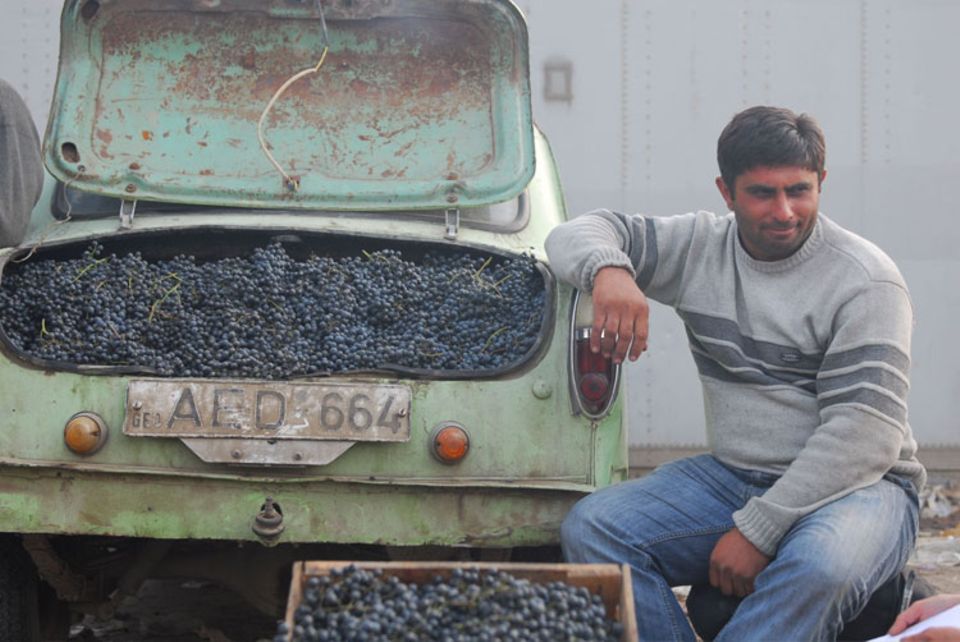 Ein georgischer Weinbauer bietet seine Trauben auf dem Markt von Tbilisi an