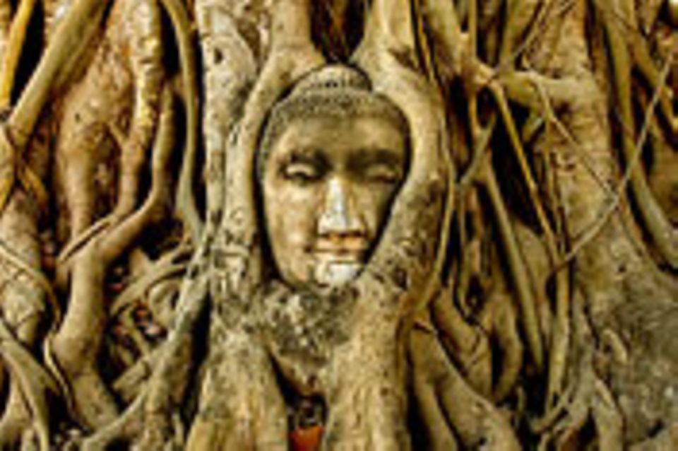 Thailand: Ayutthaya: Eine Stadt wie eine Insel