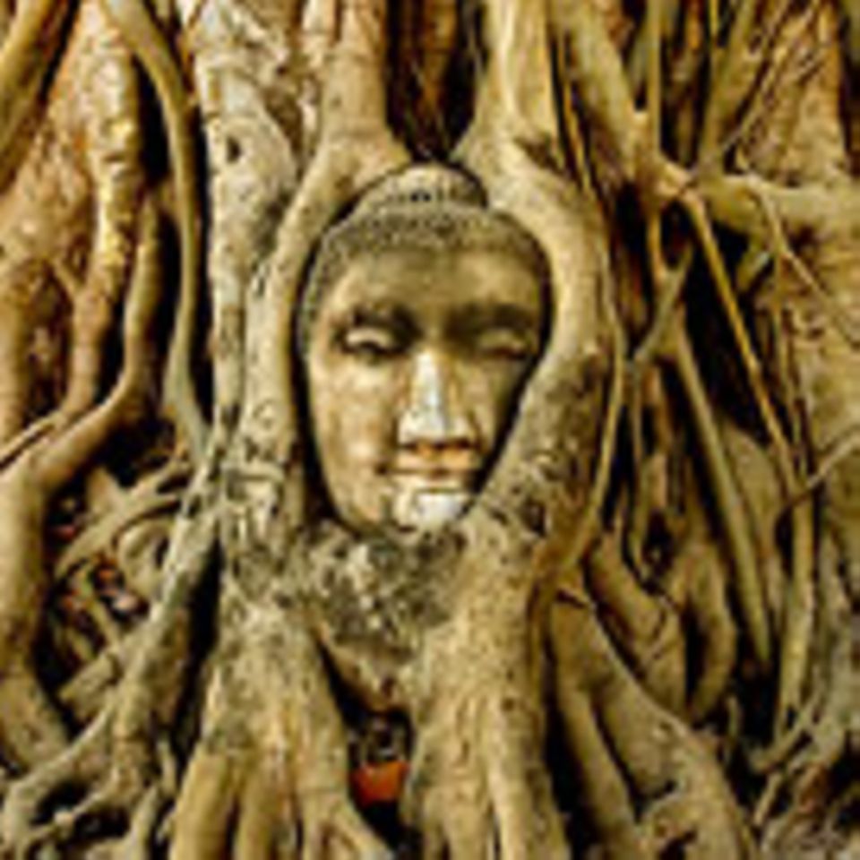 Thailand: Ayutthaya: Eine Stadt wie eine Insel