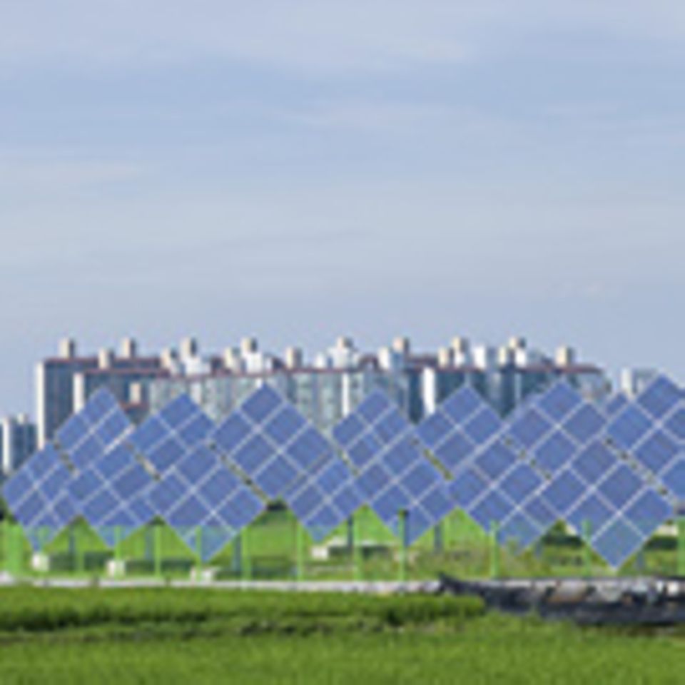 Green Growth: "Grünes" Wachstum mit Schattenseiten