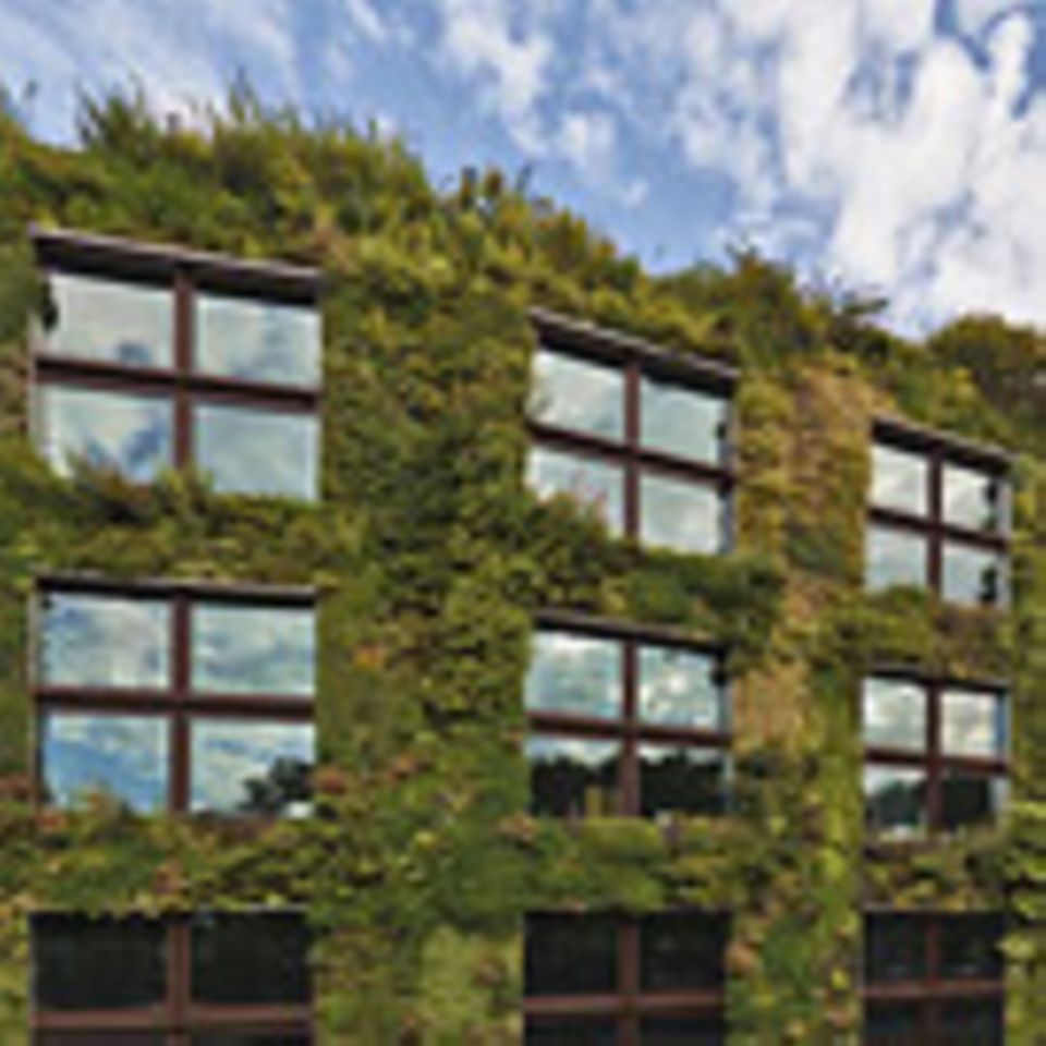 Gartenkunst: Natur an die Wand!