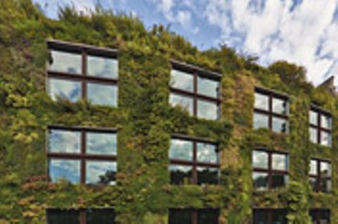 Gartenkunst: Natur an die Wand!