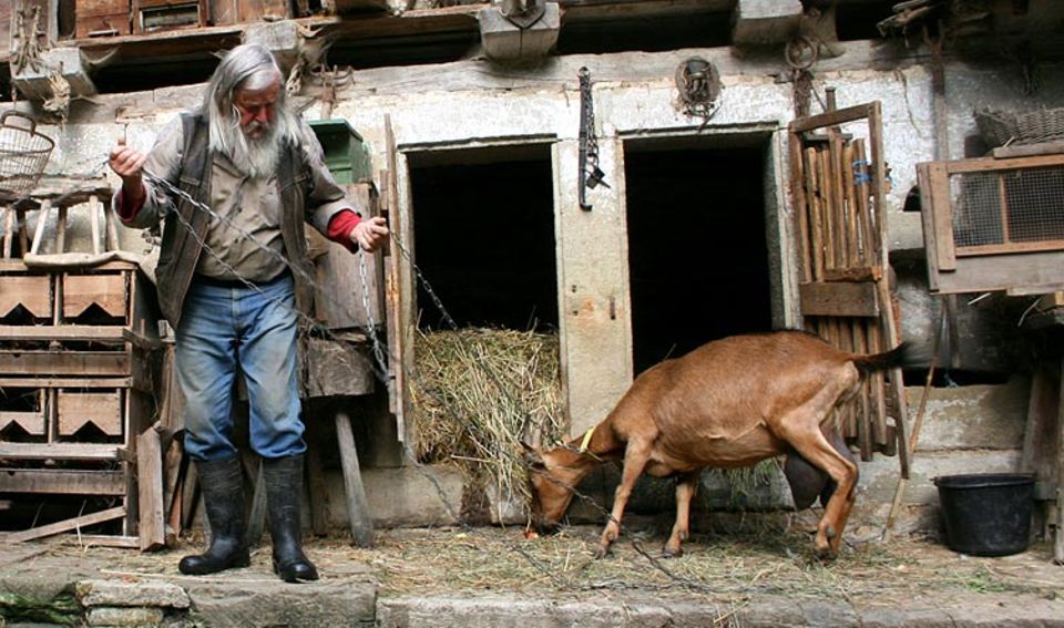 Naturtalente: Neben Schafen und Federvieh gehören auch acht Ziegen zu Frank Dählings Mühlen-Arche