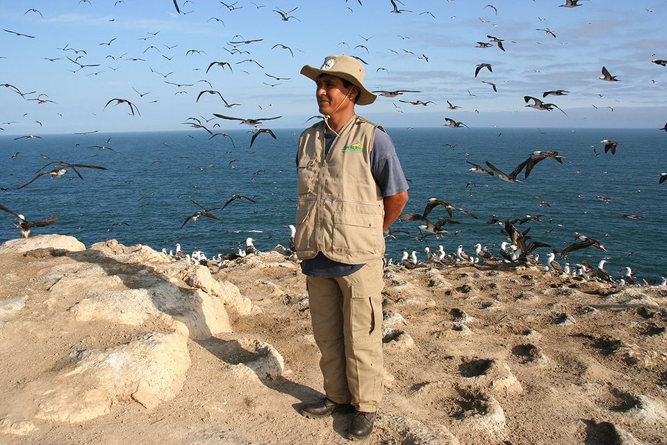 Guano, Schatzinseln und Vogeldreck