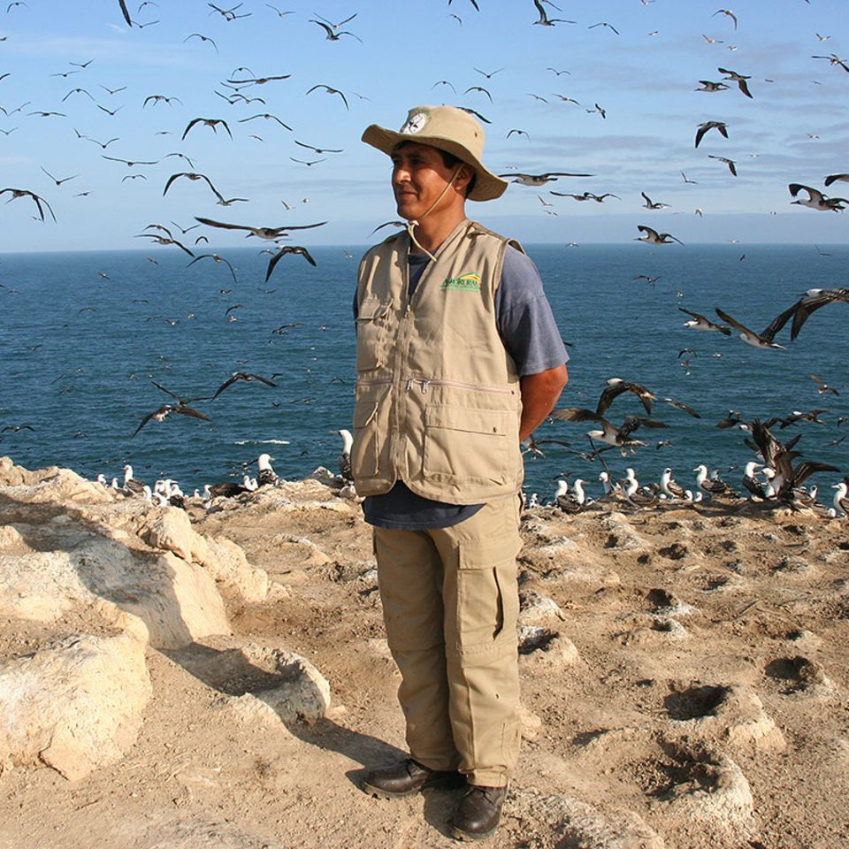 Guano, Schatzinseln und Vogeldreck