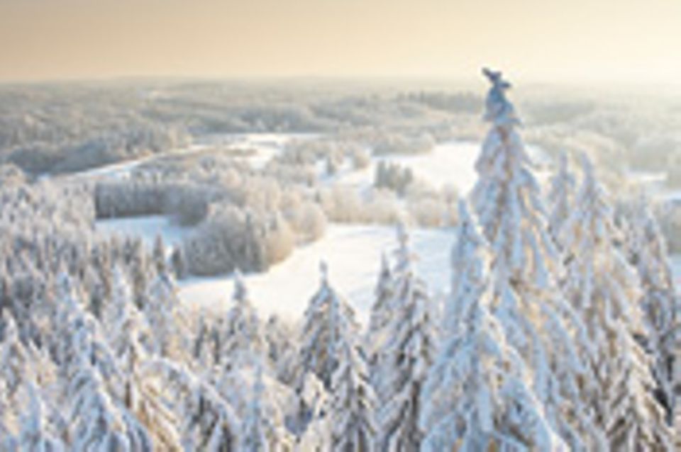 Estland: Winterreise vom Feinsten