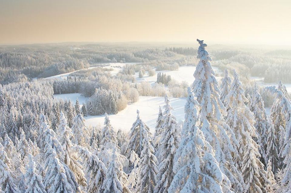 Nicht besonders hoch, dafür aber besonders schön: Winterurlaub in Estland