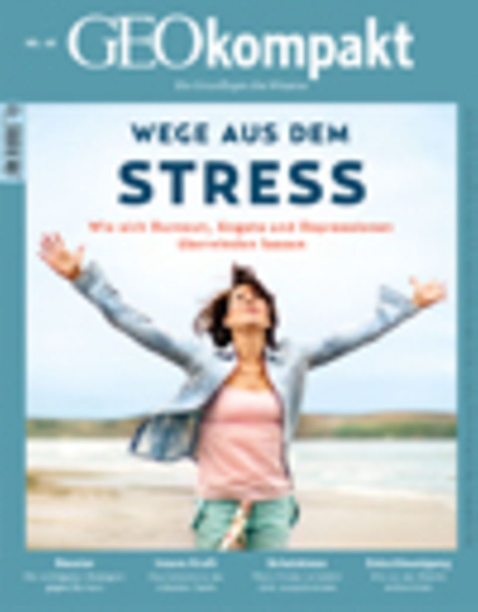 GEOkompakt Archivbereich: Bestellen Abonnieren