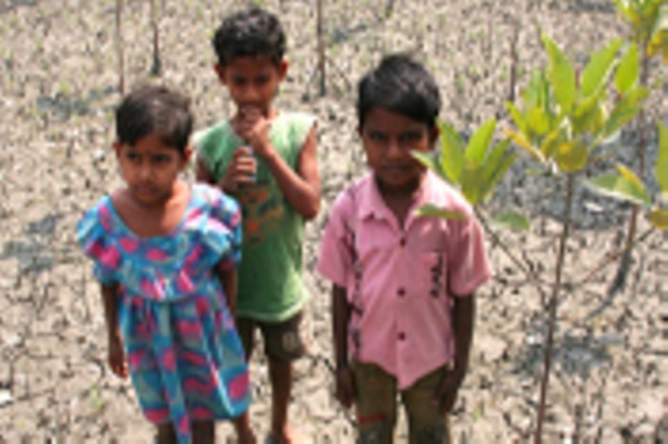 Indien: Mangrovenschutz in den Sundarbans (2012-2017)