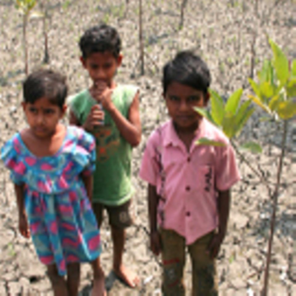 Indien: Mangrovenschutz in den Sundarbans (2012-2017)