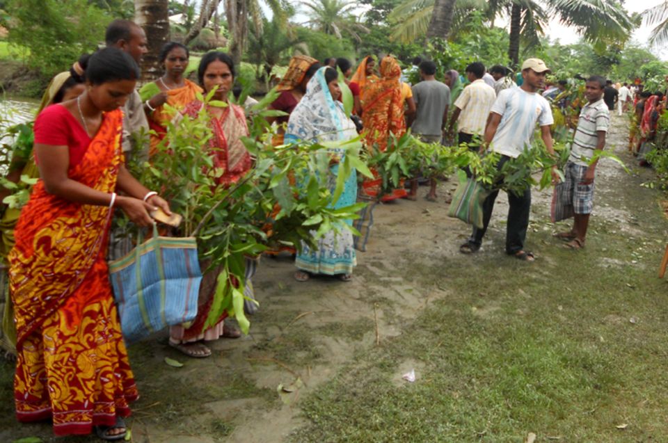 Indien: Inselbewohner erhalten Obstbäume und andere Nutzpflanzen zur Bepflanzung von Brachflächen Indien: Inselbewohner erhalten Obstbäume und andere Nutzpflanzen zur Bepflanzung von Brachflächen