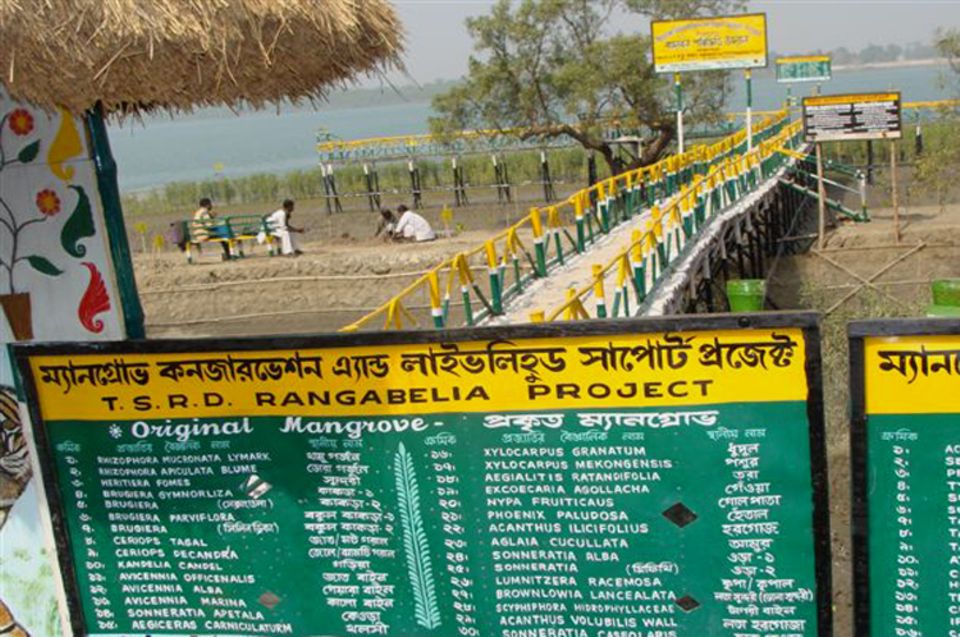 Indien: Die Tafel am Eingang des Besucherparks informiert über die verschiedenen Arten von Mangroven Indien: Die Tafel am Eingang des Besucherparks informiert über die verschiedenen Arten von Mangroven