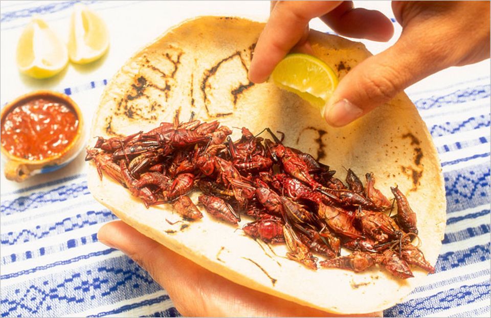 Ekelige Speisen: Hat jemand Appetit auf Heuschrecken? In manchen Ländern bekommt man geröstete Insekten als Snack an der Straßenecke