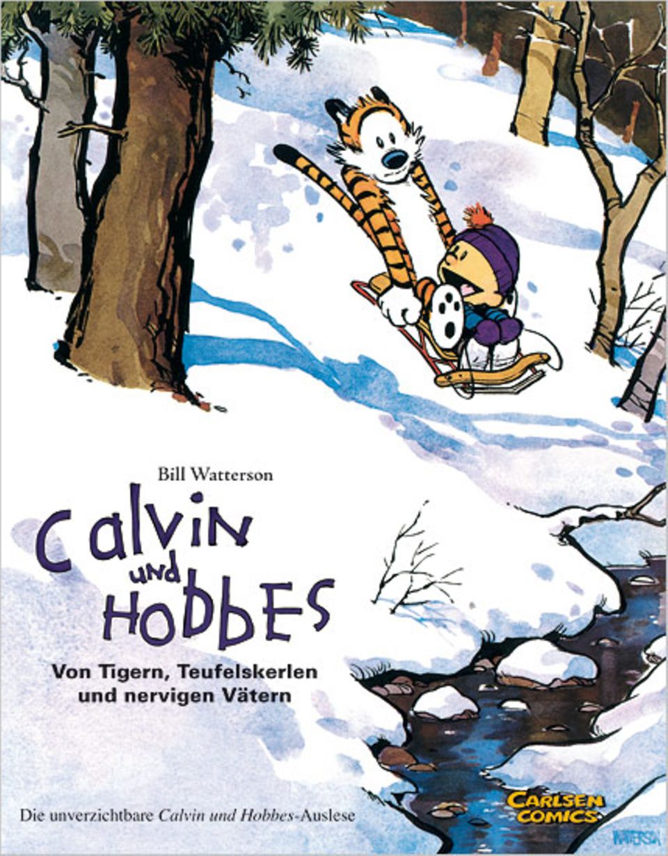 Buchtipp: Calvin und sein Tiger Hobbes sinnieren selbst beim Schlittenfahren über die großen Fragen des Lebens. Die Comics über die Beiden sind Klassiker