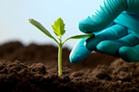 Rote Karte für grüne Gentechnik