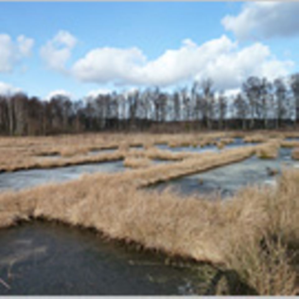 Klimaschutz im Moor