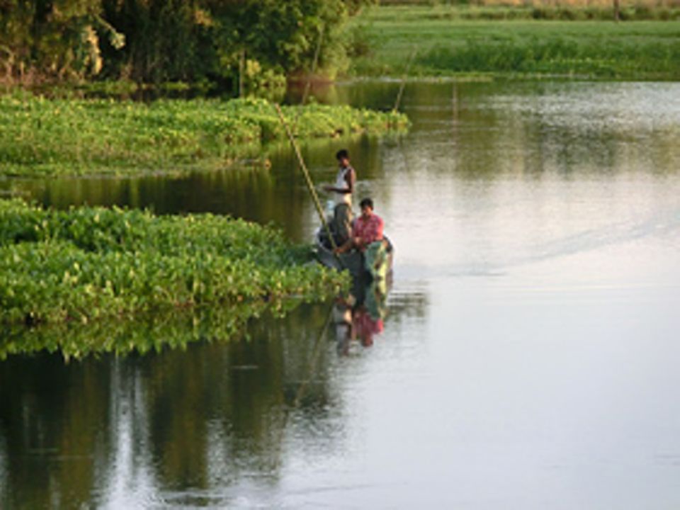 In den letzten 60 Jahren hat die Insel Majuli rund ein Drittel ihrer Fläche verloren. Kontinuierlich nagt der Brahmaputra an den Ufern In den letzten 60 Jahren hat die Insel Majuli rund ein Drittel ihrer Fläche verloren. Kontinuierlich nagt der Brahmaputra an den Ufern