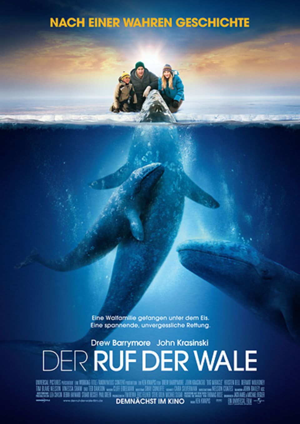 Kinotipp: Seit dem 16. Februar im Kino: Der Ruf der Wale Kinotipp: Seit dem 16. Februar im Kino: Der Ruf der Wale