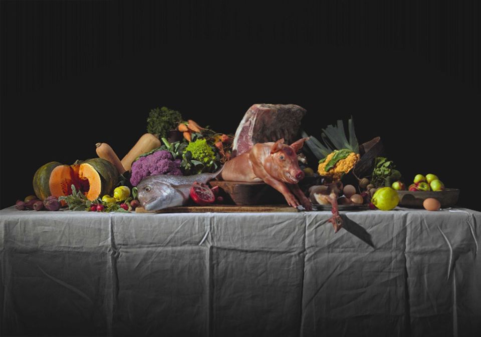 Um die Suche nach Essbarem zu erleichtern, erschlossen sich unsere tierischen Vorfahren verschiedenste Nahrungsquellen und wurden so zu Allesfressern. Auch Frühmenschen verspeisten Fleisch und Fisch ebenso wie Wurzeln oder Obst. Doch erfolgreich war nur, wer lernte, bekömmliche von giftiger Nahrung zu unterscheiden Um die Suche nach Essbarem zu erleichtern, erschlossen sich unsere tierischen Vorfahren verschiedenste Nahrungsquellen und wurden so zu Allesfressern. Auch Frühmenschen verspeisten Fleisch und Fisch ebenso wie Wurzeln oder Obst. Doch erfolgreich war nur, wer lernte, bekömmliche von giftiger Nahrung zu unterscheiden