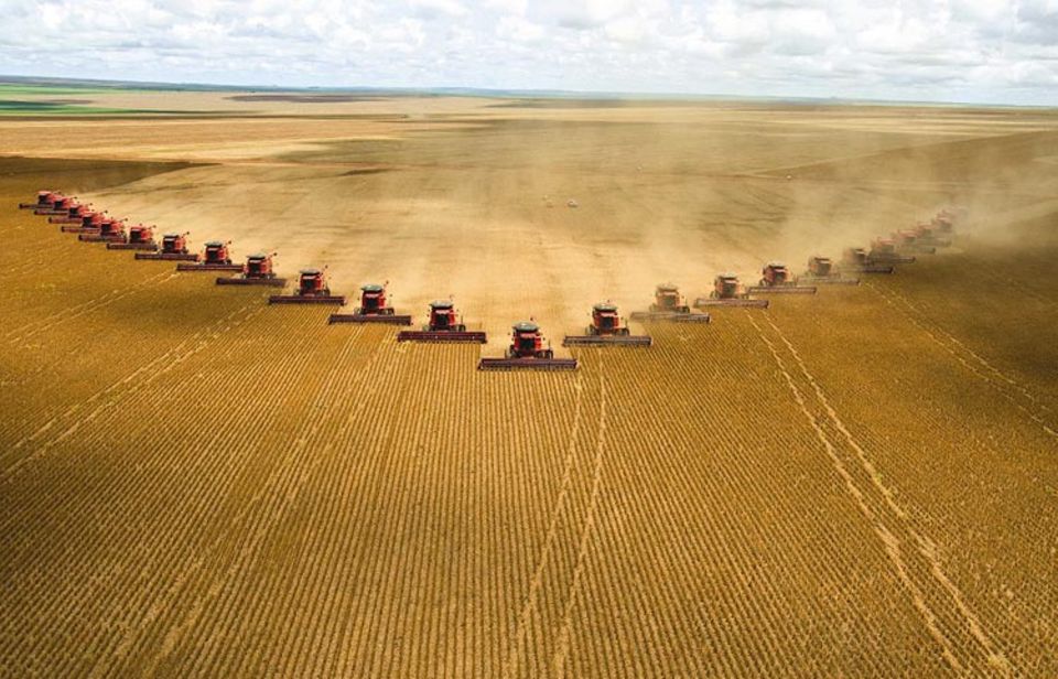 Eine Armada von 25 Maschinen erntet Soja in Brasiliens Bundesstaat Mato Grosso. Millionen Hektar solcher Felder liefern eiweißreiches Kraftfutter, um in Europa und China Fleisch billig, schnell und in großen Mengen produzieren zu können – mit schwerwiegenden Folgen für Mensch und Natur, denn solcheMonokulturen führen unter anderem zu vermehrter Bodenerosion, Verschmutzung des Wassers und Verlust der Artenvielfalt