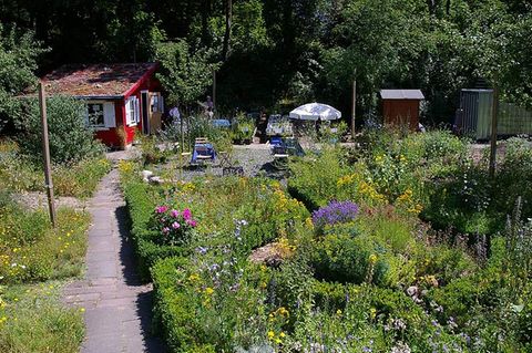 Naturgärten Tipps & Tricks zur Gartensaison [GEO]