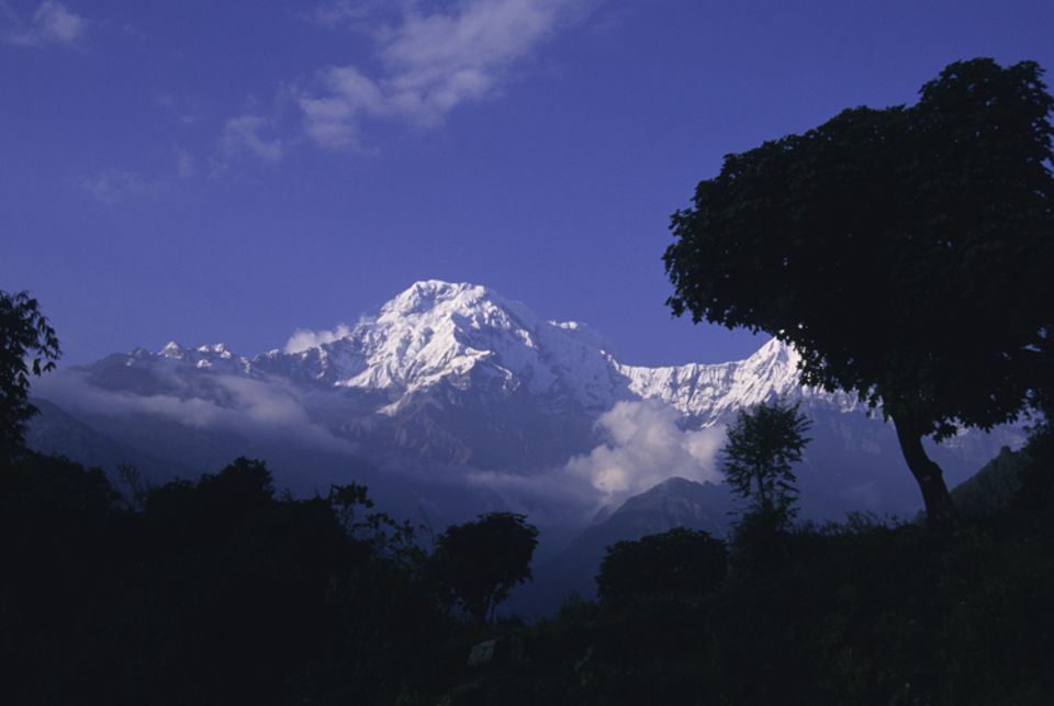 ANNAPURNA Schwarzer Tee ANNAPURNA Schwarzer Tee